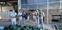 Công đoàn Công ty TNHH Nidec Việt Nam hỗ trợ nông dân tiêu thụ 15 tấn nông sản