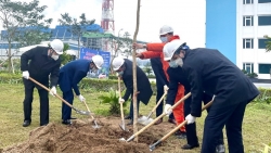 Công đoàn Điện lực Việt Nam phát động "Tết trồng cây" năm 2022