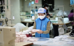 Tập đoàn Dệt may Việt Nam: Tìm giải pháp hạn chế tối đa việc giảm lực lượng lao động