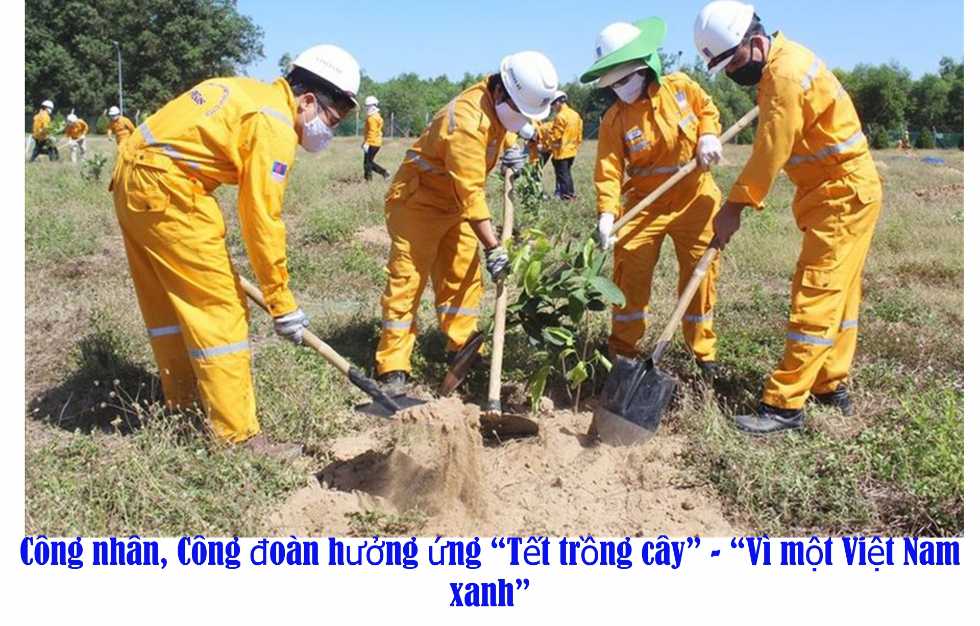 Công nhân lao động hưởng ứng “Tết trồng cây” - “Vì một Việt Nam xanh”