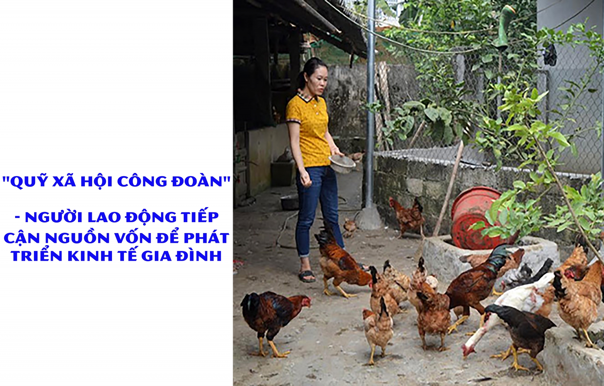 "Quỹ xã hội công đoàn" - người lao động tiếp cận nguồn vốn để phát triển kinh tế gia đình