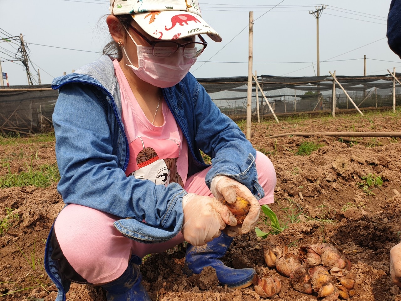 muon kieu chong doi cua nguoi trong hoa lang tay tuu