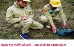 Người thợ truyền tải điện - nhọc nhằn và những rủi ro