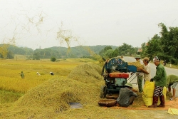 Vận hành máy tuốt lúa sẽ là công việc có yêu cầu nghiêm ngặt về an toàn lao động