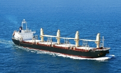 Hiệp hội Chủ tàu Việt Nam kiến nghị chính sách hỗ trợ thuyền viên