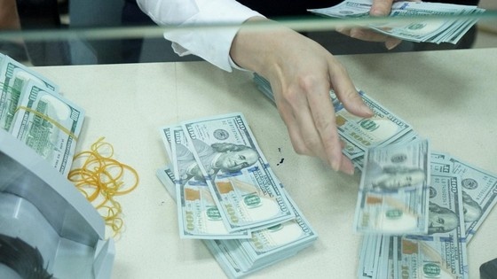 “Ngân hàng Nhà nước đã mua vào 2,78 tỷ USD chỉ trong tháng 1”