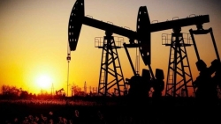 Giá dầu giảm sâu bởi lo ngại về tăng trưởng kinh tế toàn cầu