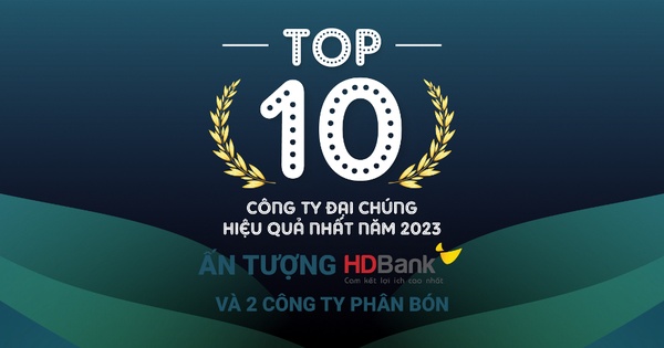 Top 10 công ty đại chúng hiệu quả nhất năm 2023: Ấn tượng HDBank