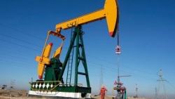 Giá dầu sụt rất mạnh bởi dự báo NHTW lớn không ngừng nâng lãi suất