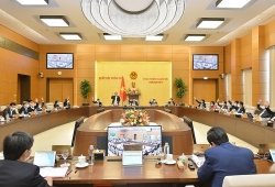 Tối ưu hóa quyền lợi về BHXH cho người lao động Việt Nam và Hàn Quốc
