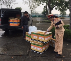 Thanh Hóa: Phát hiện xe bán tải vận chuyển thực phẩm không rõ nguồn gốc