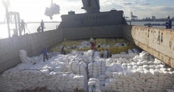 Dự báo Việt Nam sẽ xuất khẩu quanh 6,3 triệu tấn gạo năm nay