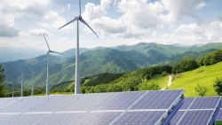 Lo phá sản, 36 nhà đầu tư điện gió, mặt trời gửi kiến nghị lên Thủ tướng