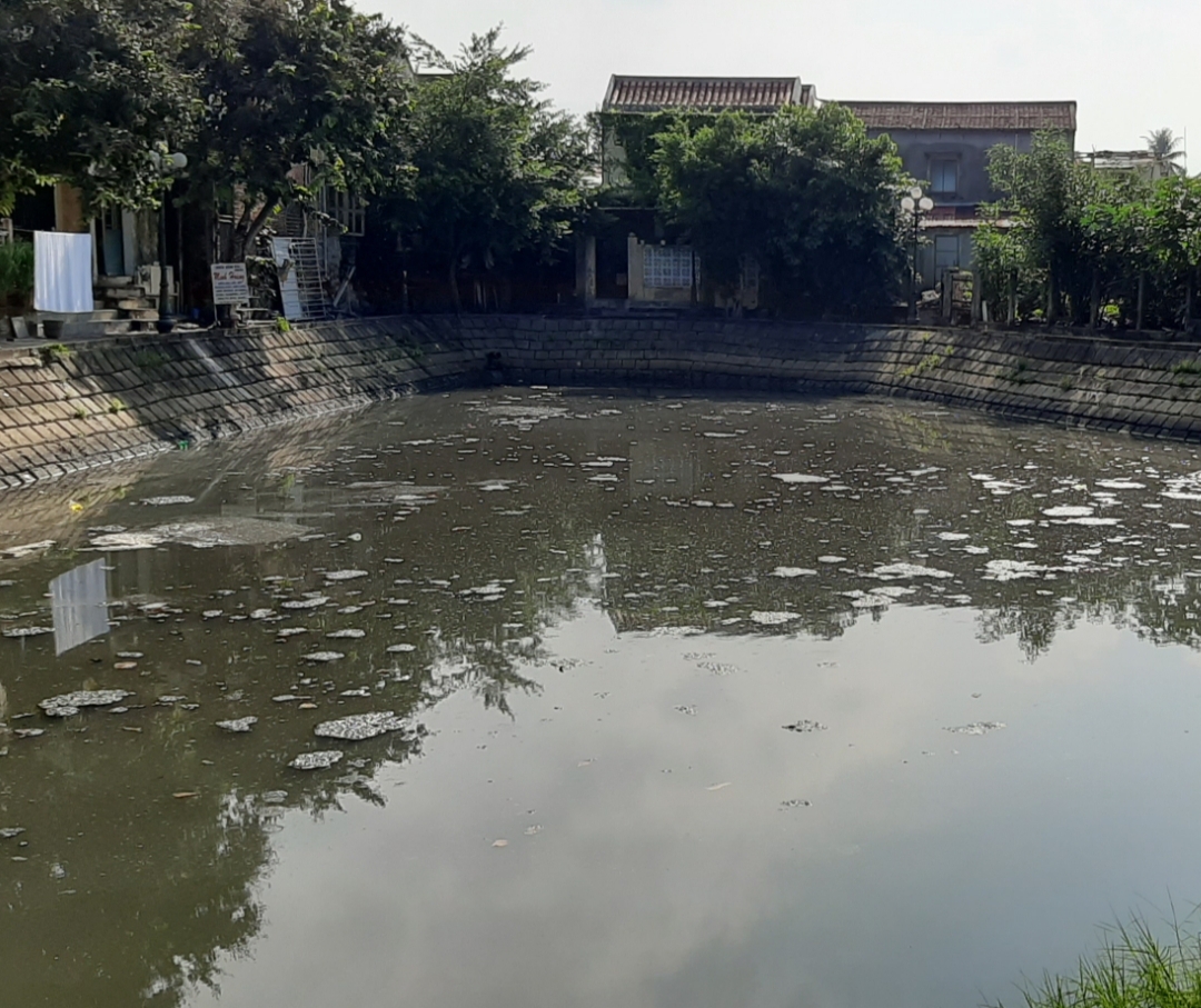 o nhiem moi truong dau chi moi chua cau ma con ca xung quanh