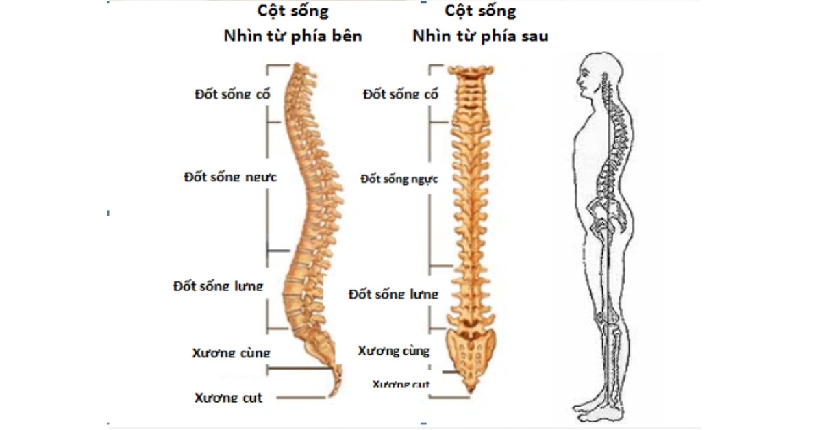 Bệnh cột sống, bệnh thường gặp của những công nhân phải đứng nhiều