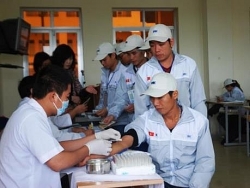 Khuyến cáo và hỗ trợ tối đa lao động Việt tại Hàn Quốc