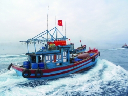 Nghiệp đoàn nghề cá Quảng Ngãi: Lại hồ hởi vươn khơi