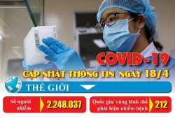 hanh trinh phuc tap cua virus corona trong co the nguoi nhu the nao