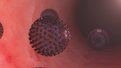 7 lầm tưởng về virus corona