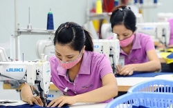 Cơ hội “vàng” cho ngành dệt may Việt Nam chuyển mình