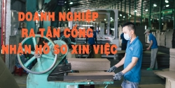 Doanh nghiệp ở Đà Nẵng ra tận cổng nhận hồ sơ xin việc