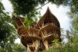 Ngỡ ngàng trước kiến trúc của biệt thự bằng tre độc đáo ở Indonesia