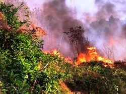 Ngày rằm tháng 7: Cháy dữ dội trên núi Ngũ Phong, hàng trăm người dập lửa