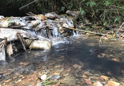 Hà Nội khuyến cáo người dân không dùng nước sạch sông Đà ăn uống