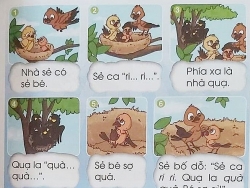 Chỉnh sửa sách giáo khoa Tiếng Việt lớp 1 như thế nào?