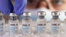 Tuyển chọn tình nguyện viên tham gia thử nghiệm vaccine Covid-19 như thế nào?