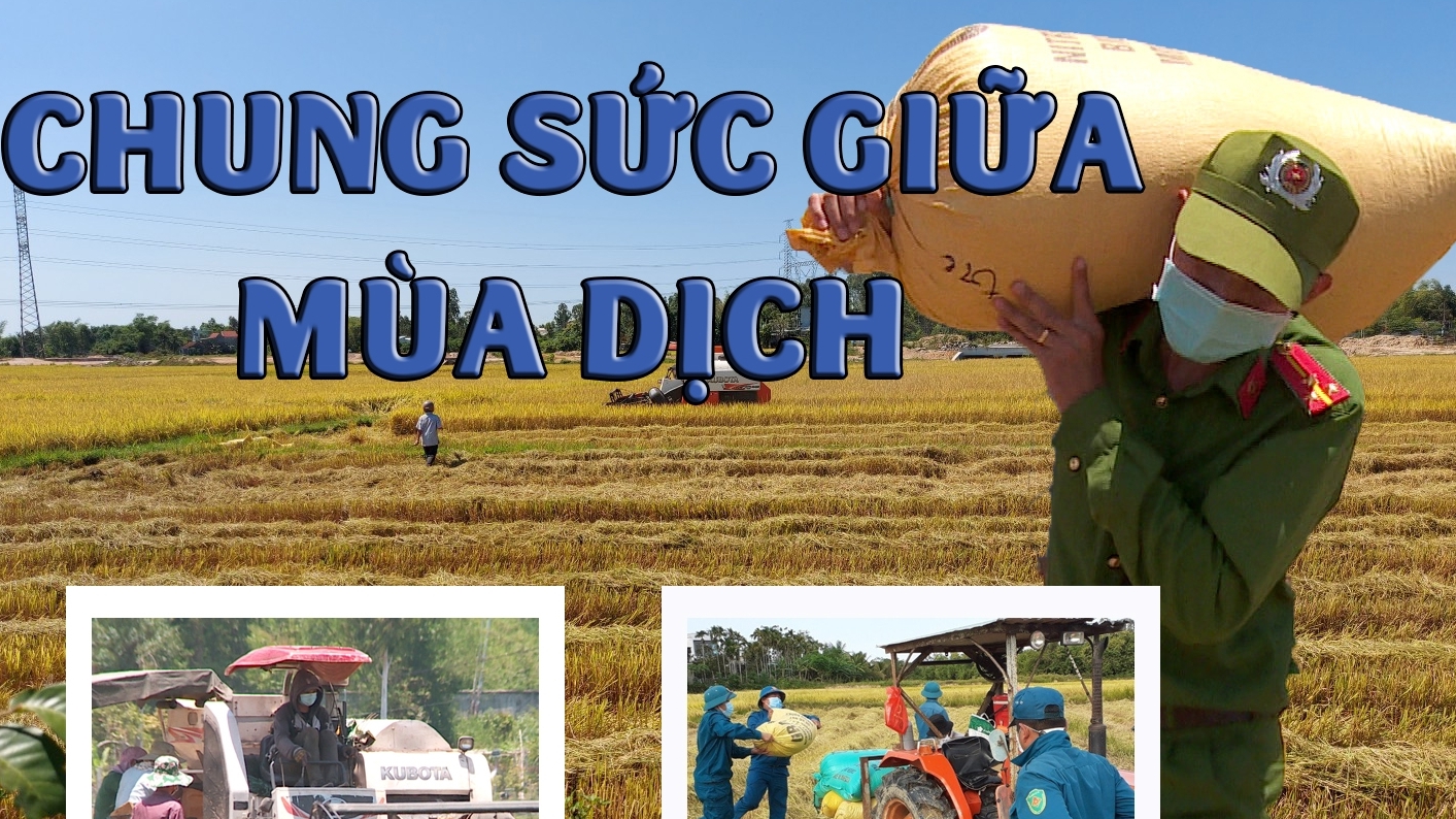 Chung sức giữa mùa dịch