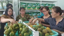 Sơn Trà tăng cường công tác đảm bảo vệ sinh an toàn thực phẩm