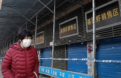 Ghi nhận thêm 4 trường hợp bị viêm phổi do chủng coronavirus  tại thành phố Vũ Hán