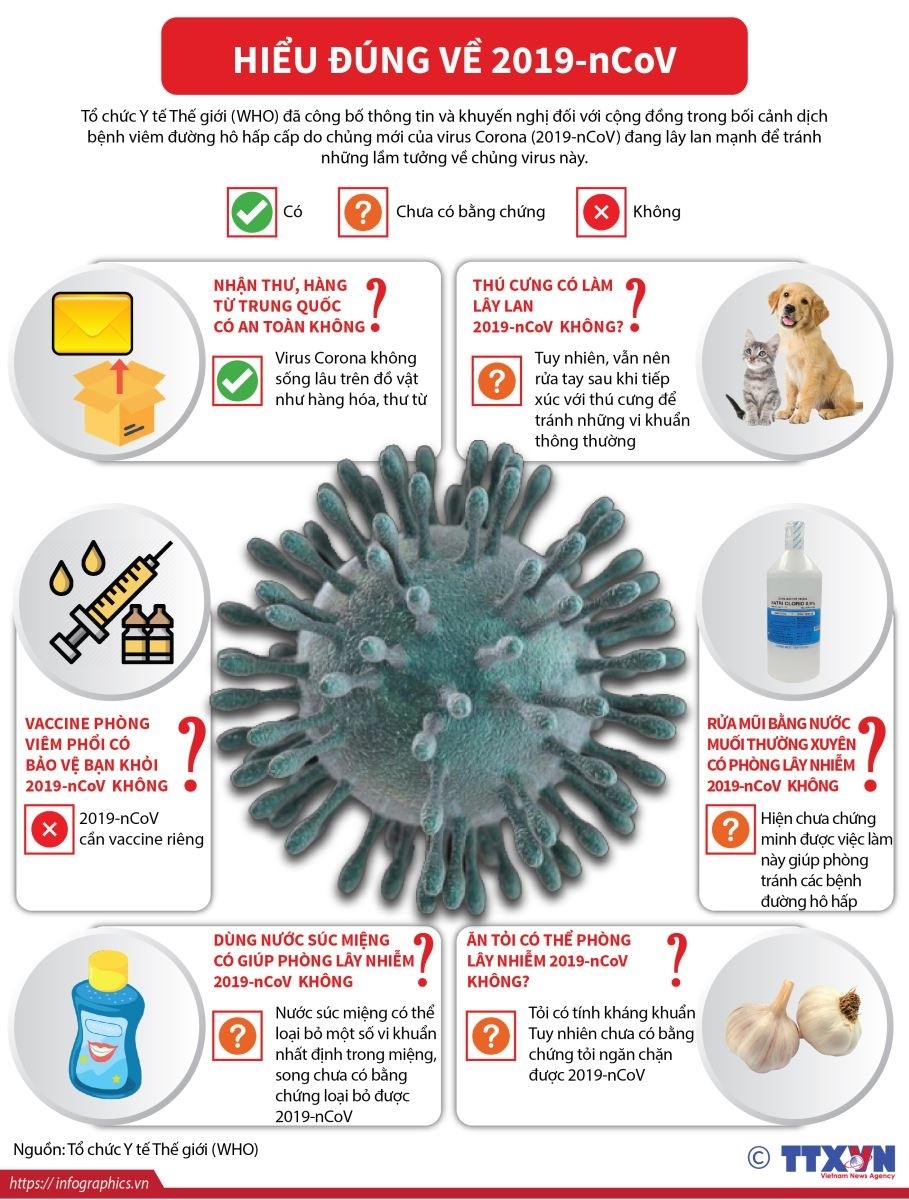 Hiểu đúng về virus corona, tránh những lầm tưởng về chủng virus này