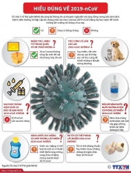 Hiểu đúng về virus corona, tránh những lầm tưởng về chủng virus này