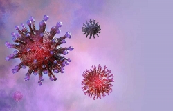 4 sự khác biệt giữa viêm phổi Vũ Hán, cảm lạnh và bệnh cúm