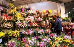 Tăng mạnh giá hoa tại Việt Nam nhân ngày Quốc tế Phụ nữ