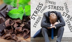 Những loại thực phẩm giúp phòng ngừa stress