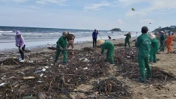 Gần trăm tấn rác bủa vây bãi biển Vũng Tàu