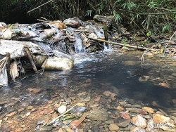 "Nước sạch" sông Đà có thể bị nhiễm dầu thải đổ trộm?
