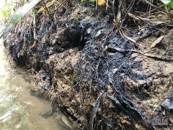 Khởi tố hình sự vụ đổ dầu thải vào nguồn nước sông Đà