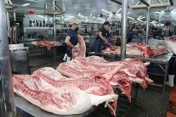 Tiêu hủy hơn 5,6 triệu con lợn do dịch tả lợn châu Phi