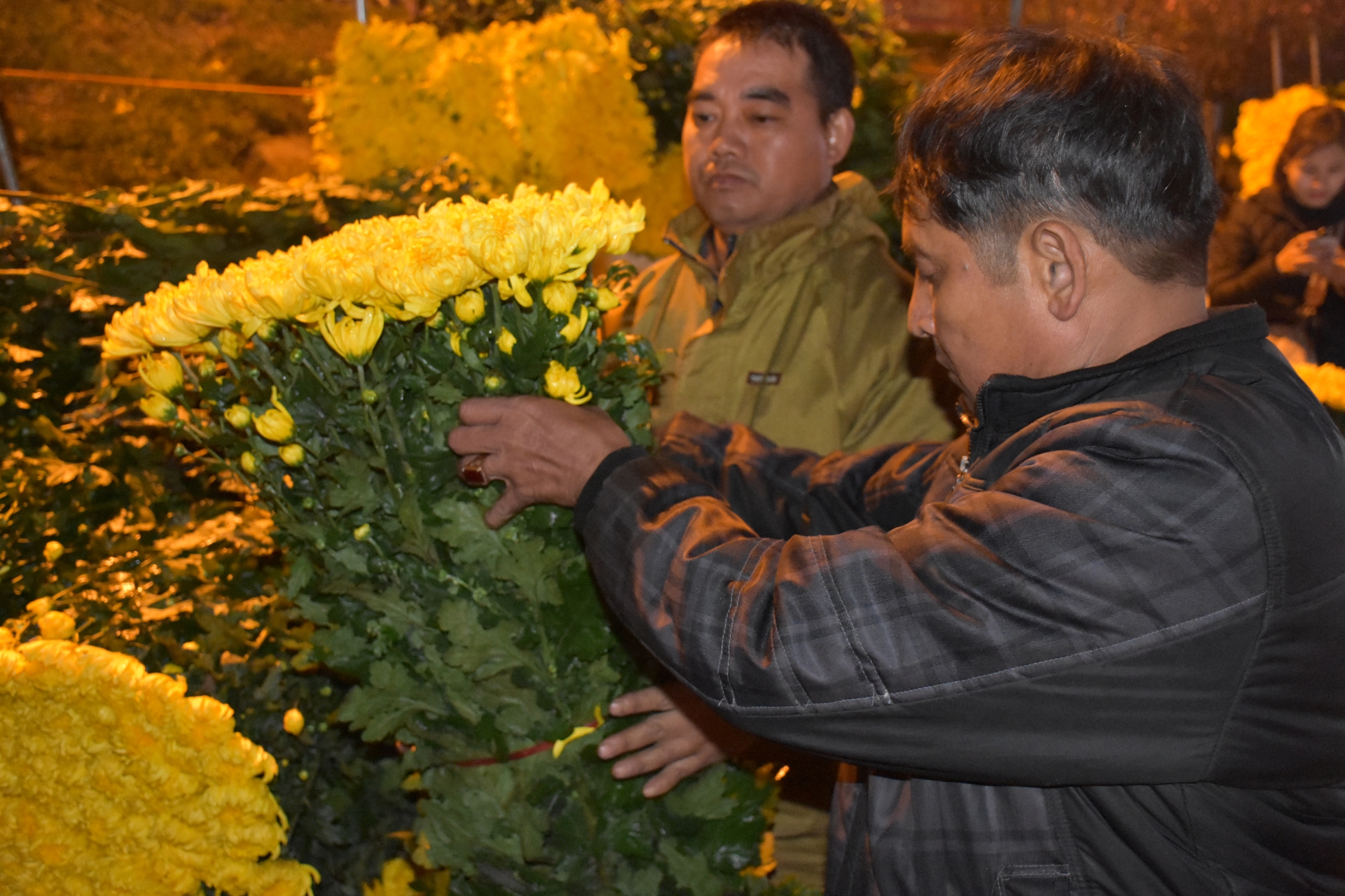 cho hoa quang an thuc trang dem cho nhung chuyen hoa tet