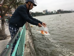 Hà Nội ngày Tết Táo Quân: "Trăn trở" tìm đường đưa cá chép chầu trời