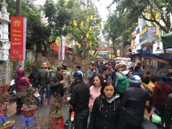 Hà Nội: Trời rét căm căm, người dân vẫn đổ xô ra đường sắm Tết