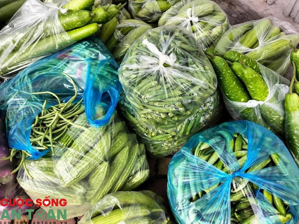 Từ “tâm dịch” Bắc Giang: Những giáo viên tình nguyện vào bếp phục vụ khu cách ly