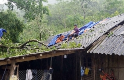 Mưa lũ gây thiệt hại nặng nề tại Lào Cai, Thanh Hóa