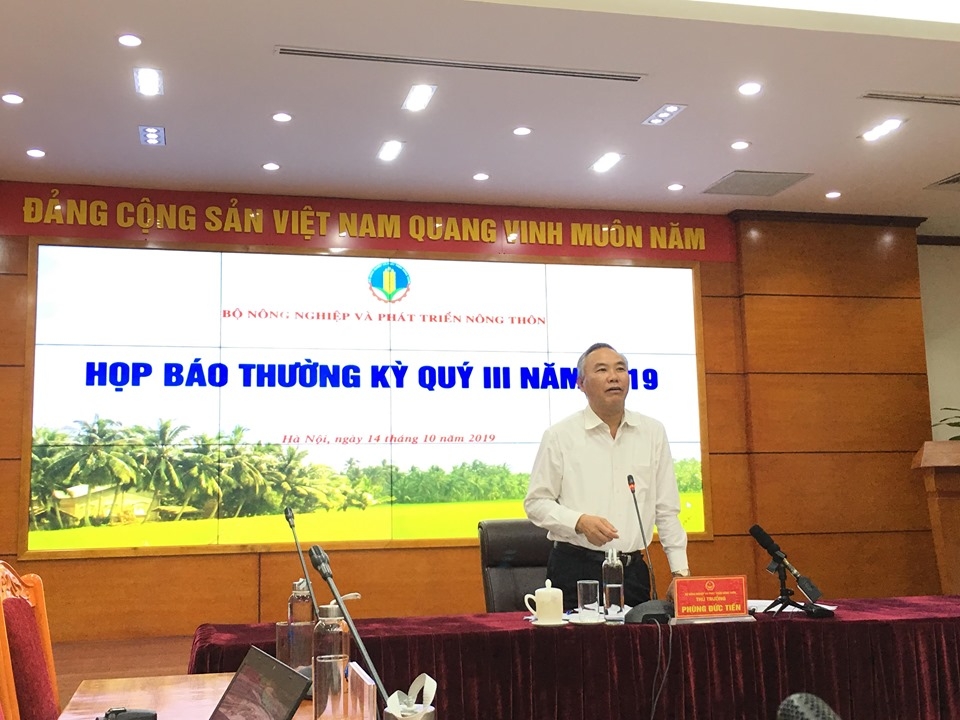 1.100ha rừng bị cháy trong 9 tháng đầu năm 2019