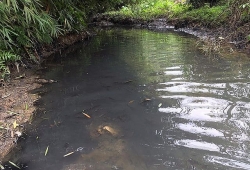 Bắt 2 đối tượng đổ trộm dầu thải gây ô nhiễm nguồn nước sông Đà