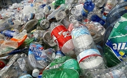 Mỗi ngày thải ra môi trường khoảng 80 tấn nhựa và túi ni lông